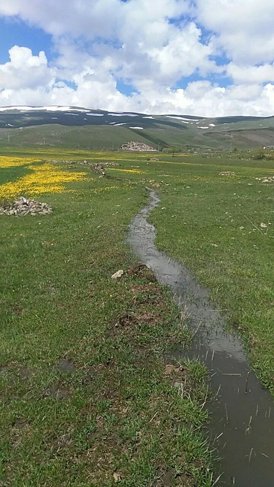 Ardahan Kazlıköy Köyü Resimleri 1