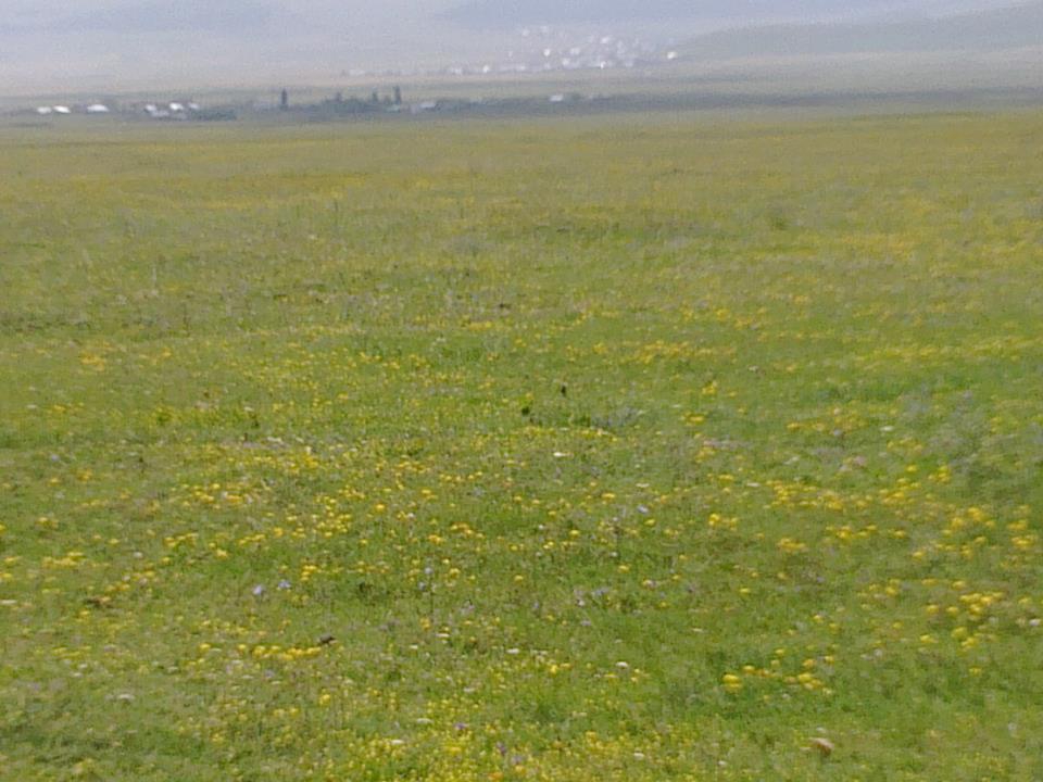 Ardahan Kazlıköy Köyü Resimleri 4