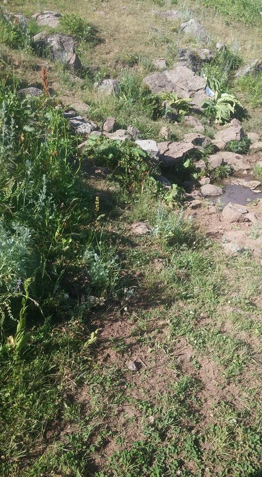 Ardahan Kazlıköy Köyü Resimleri 6