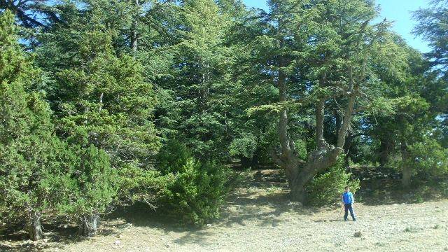 Mut Güzelyurt Köyü Resimleri 1