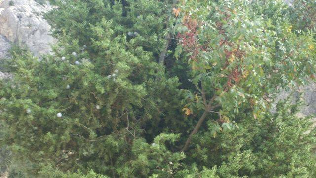 Mut Güzelyurt Köyü Resimleri 7