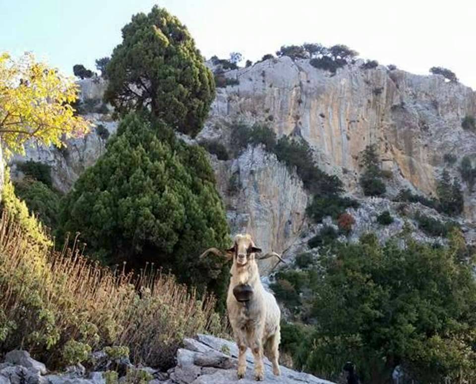 Mut Hacıahmetli Köyü Resimleri 11