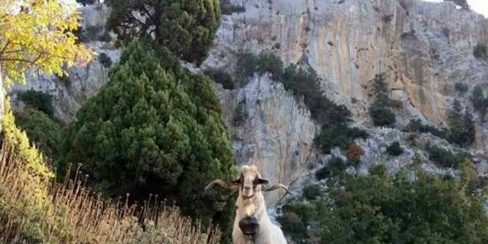 Mut Hacıahmetli Köyü Resimleri