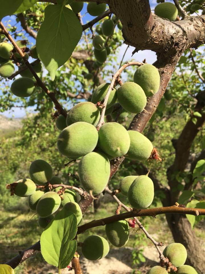 Mut Hisarköy Köyü Resimleri 2