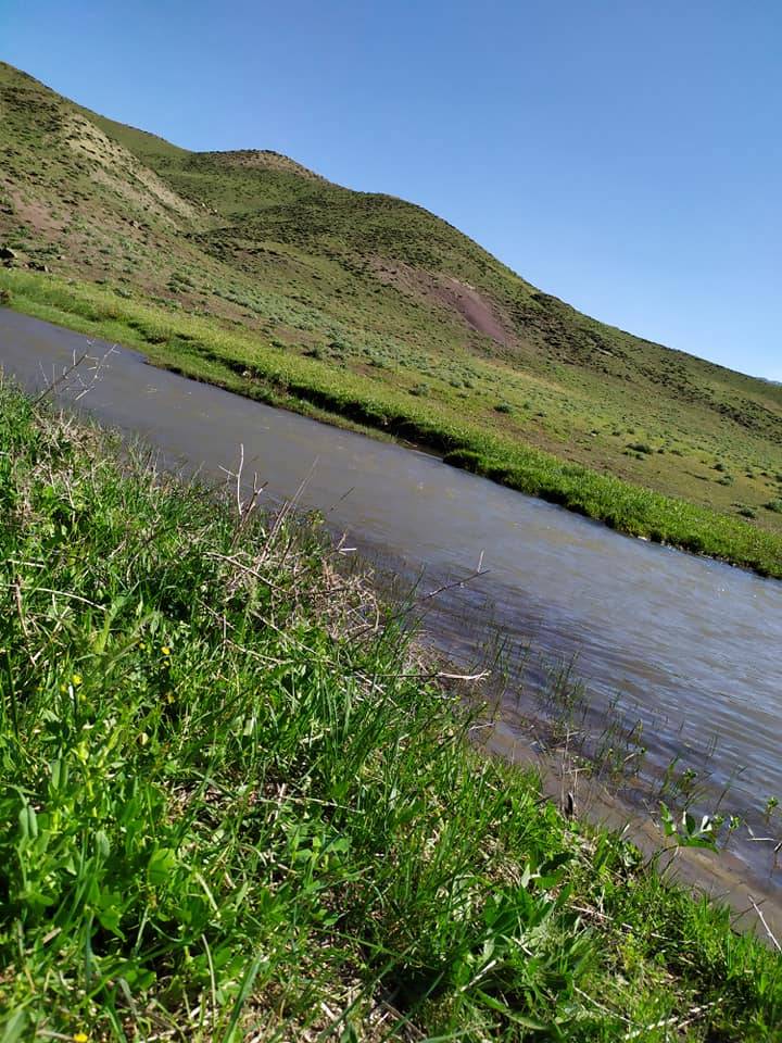 Beytüşşebap Ayvalık Köyü Resimleri 12