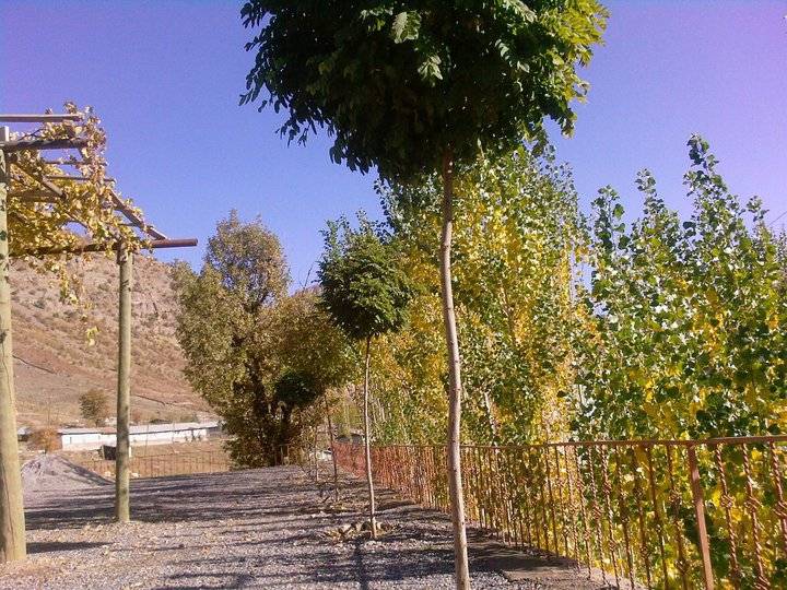 Beytüşşebap Ayvalık Köyü Resimleri 2