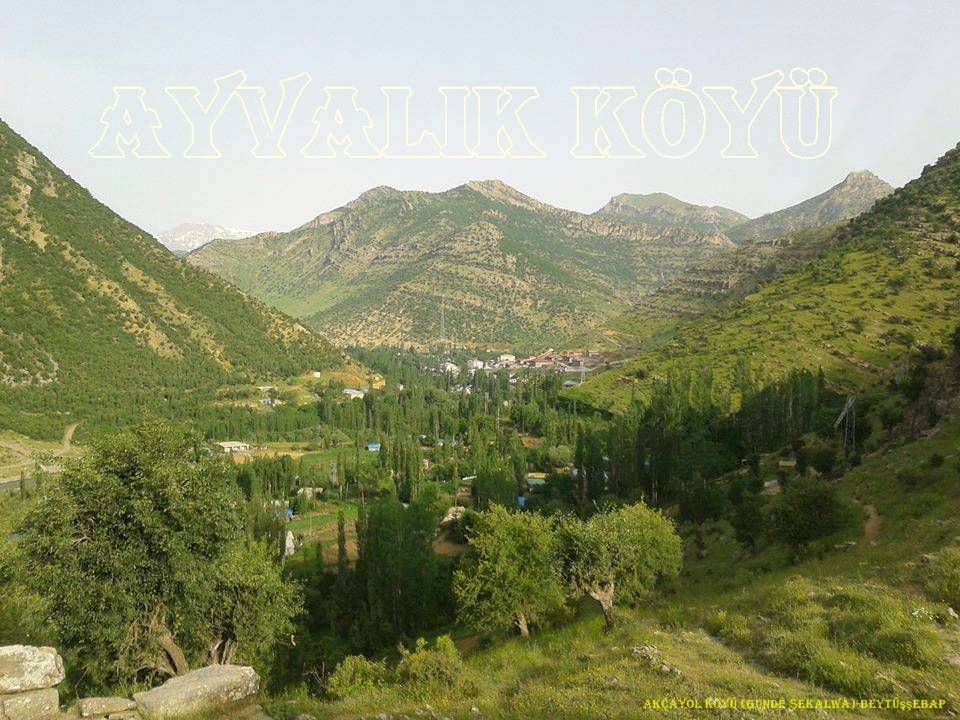 Beytüşşebap Ayvalık Köyü Resimleri 4