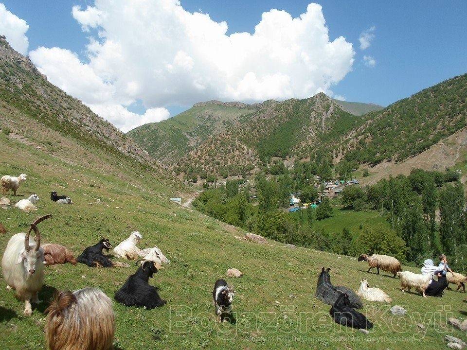 Beytüşşebap Boğazören Köyü Resimleri 5