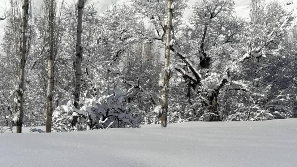 Beytüşşebap Bölücek Köyü Resimleri 1