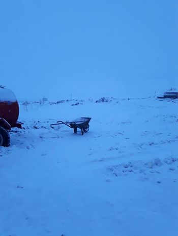 Ardahan Köprücük Köyü Resimleri 4