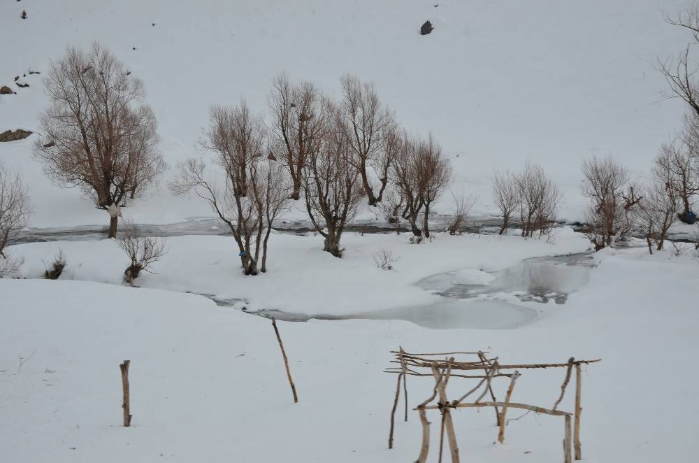 Beytüşşebap Doğanyol Köyü Resimleri 11