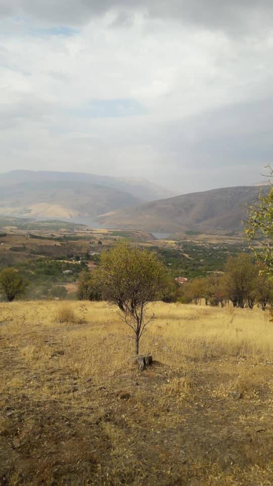 Beytüşşebap Doğanyol Köyü Resimleri 2