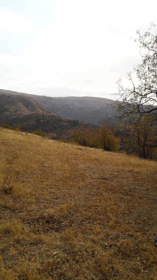 Beytüşşebap Doğanyol Köyü Resimleri 3