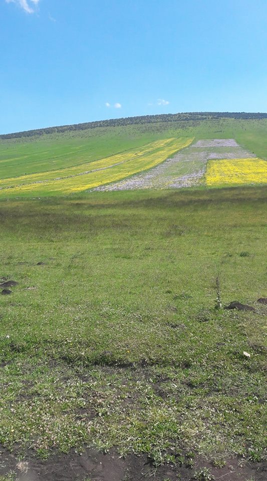Ardahan Küçüksütlüce Köyü Resimleri 8