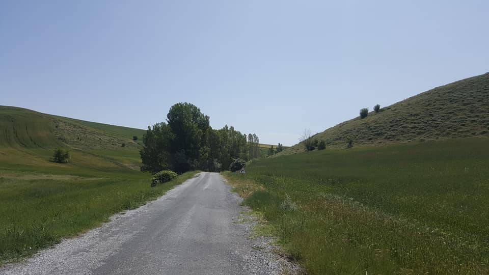 Yerköy Sedir Köyü Resimleri 10