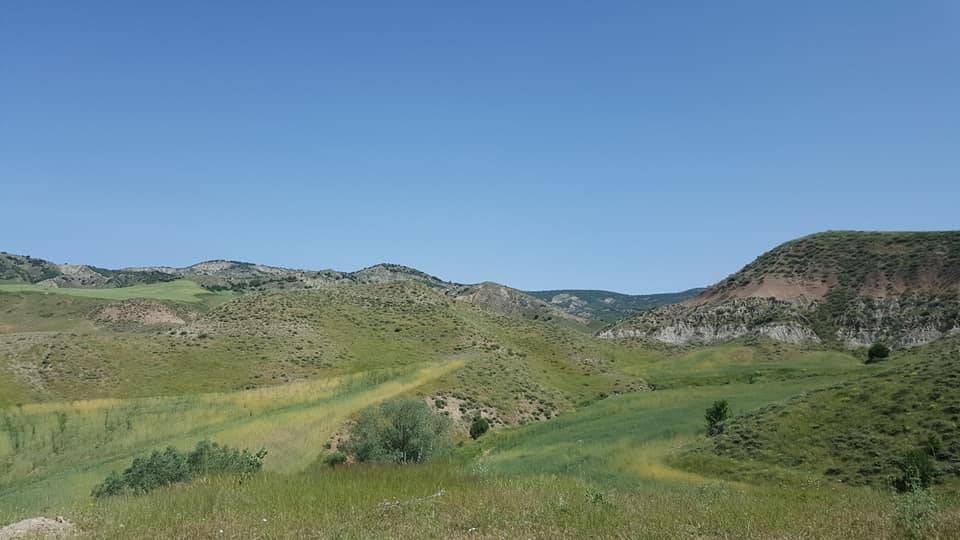 Yerköy Sedir Köyü Resimleri 2