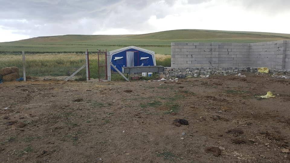 Yerköy Sedir Köyü Resimleri 3