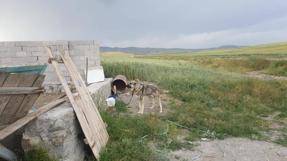 Yerköy Sedir Köyü Resimleri 4