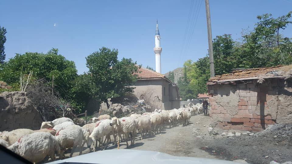 Yerköy Sedir Köyü Resimleri 6