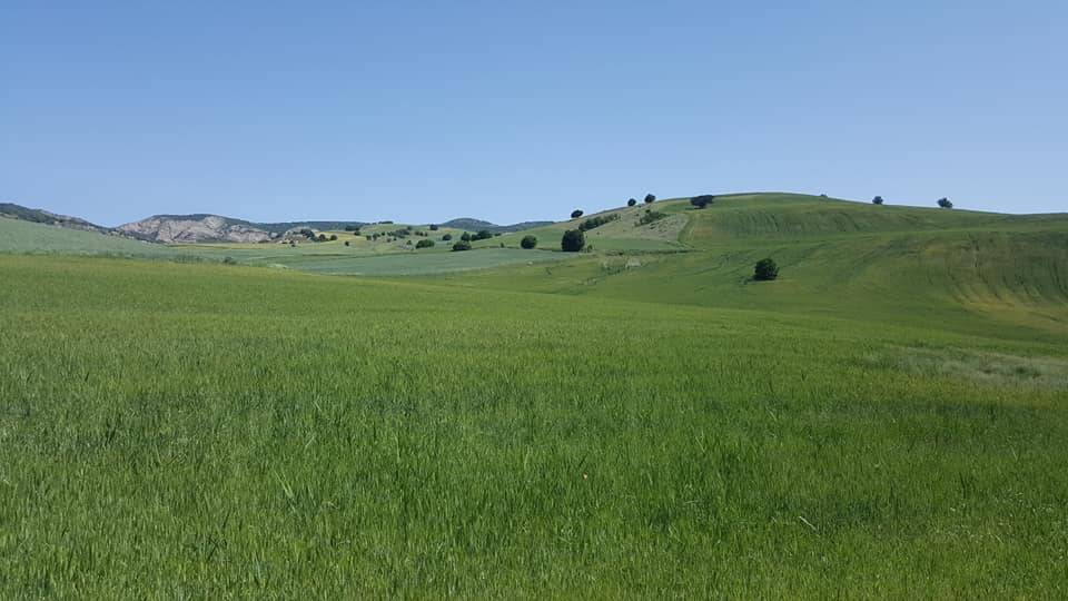 Yerköy Sedir Köyü Resimleri 7