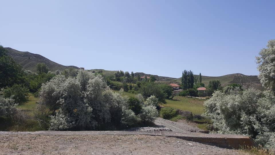 Yerköy Sedir Köyü Resimleri 9