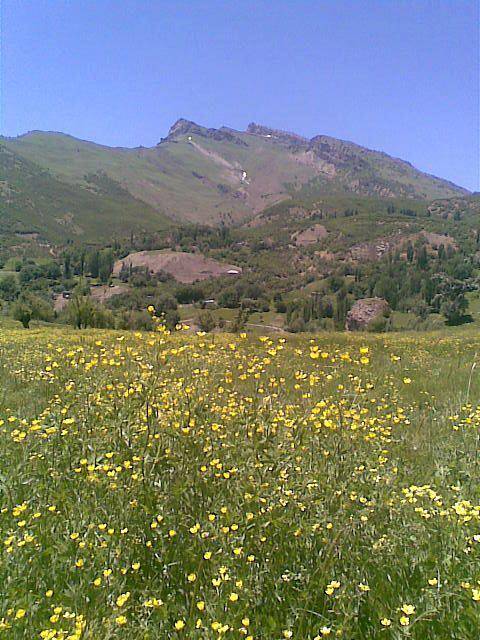 Beytüşşebap Ilıcak Köyü Resimleri 2