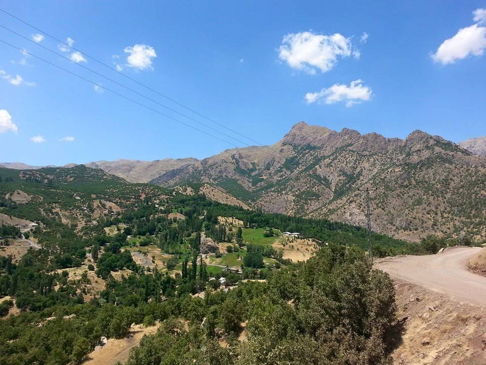 amigo kızlar testleri çöz
