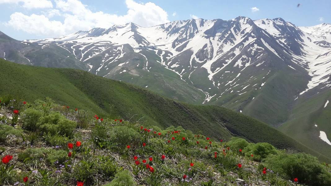 Beytüşşebap Oymakaya Köyü Resimleri 1