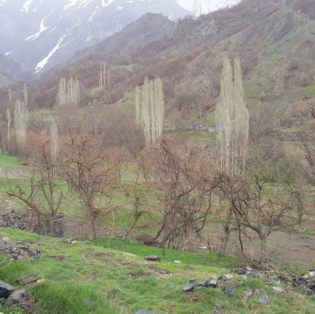 Beytüşşebap Oymakaya Köyü Resimleri 4