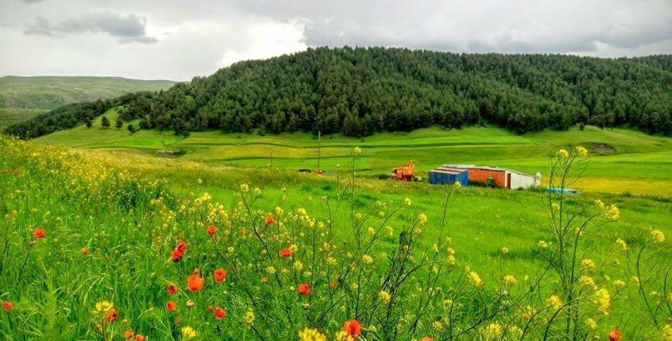 Ardahan Ölçek Köyü Resimleri 9