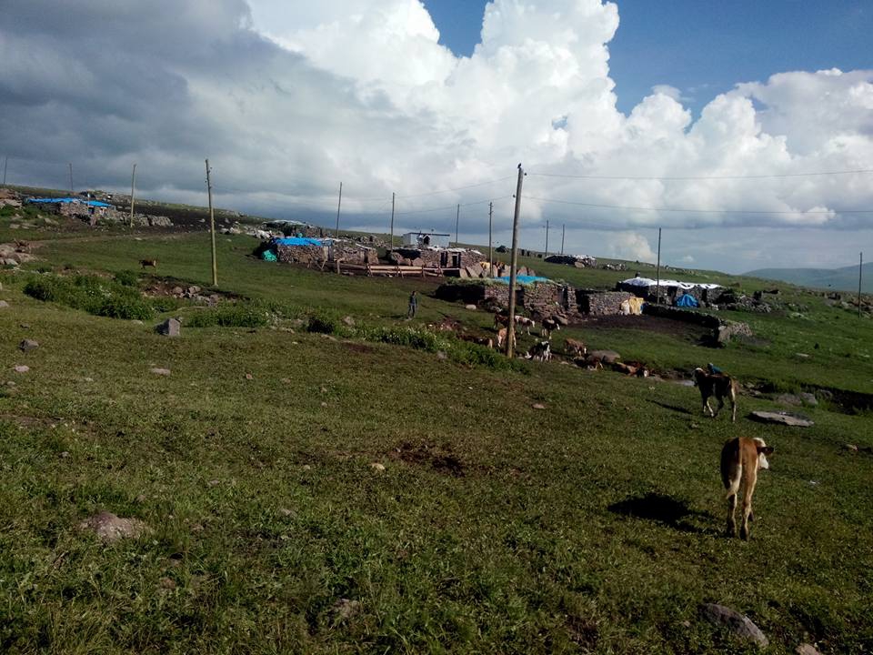 Ardahan Ömerağa Köyü Resimleri 5