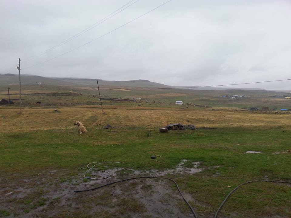 Ardahan Ömerağa Köyü Resimleri 7