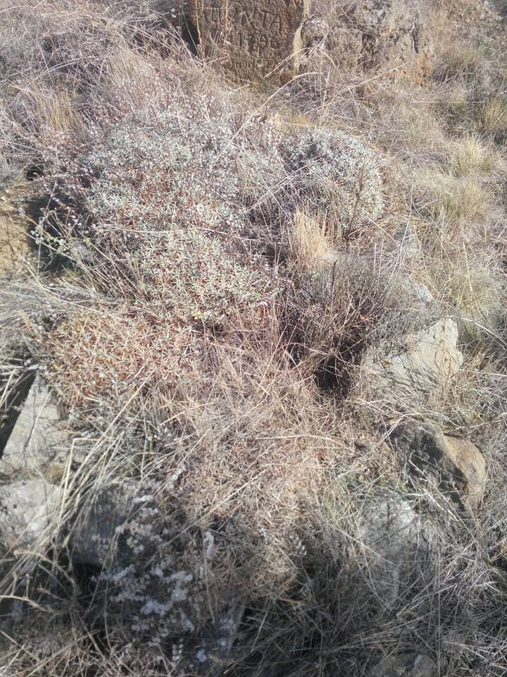 Yozgat Azizlibağları Köyü Resimleri 2