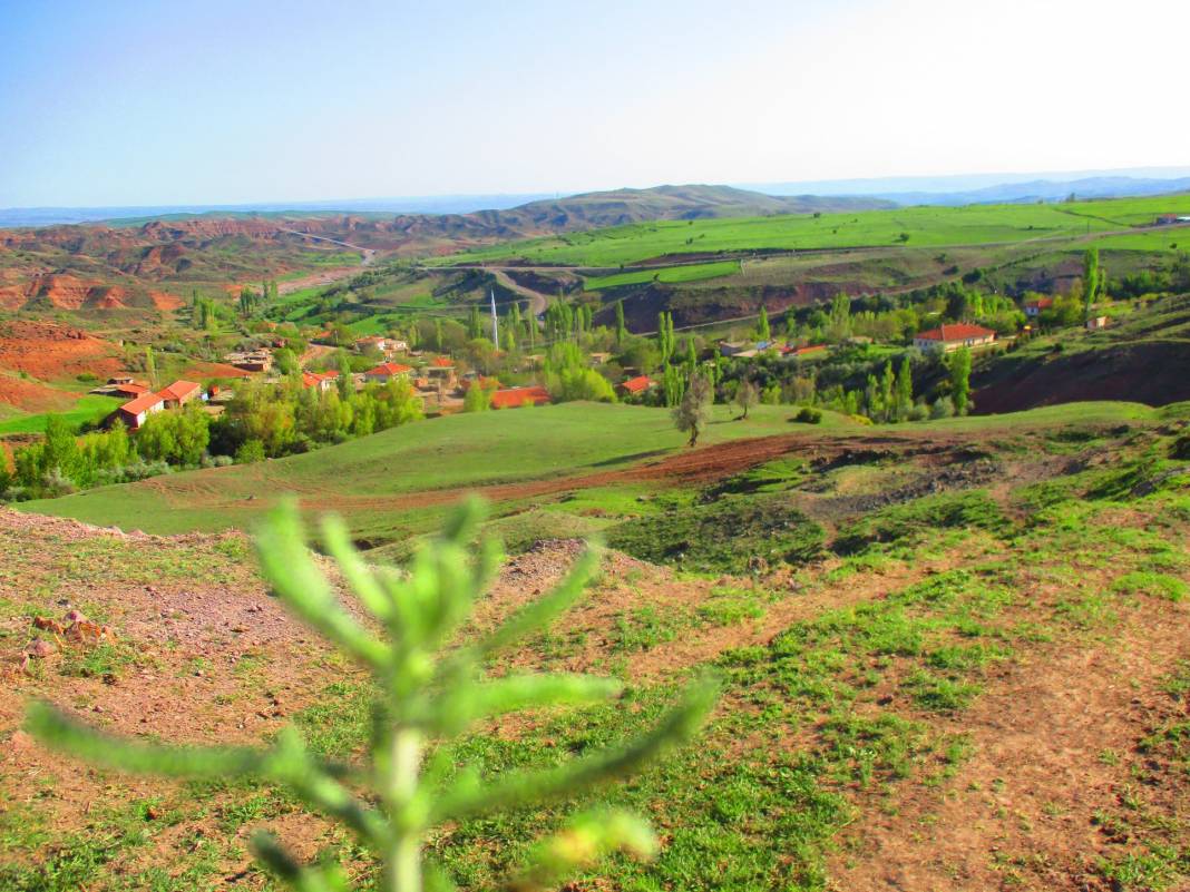 Yozgat Bacılı Köyü Resimleri 11