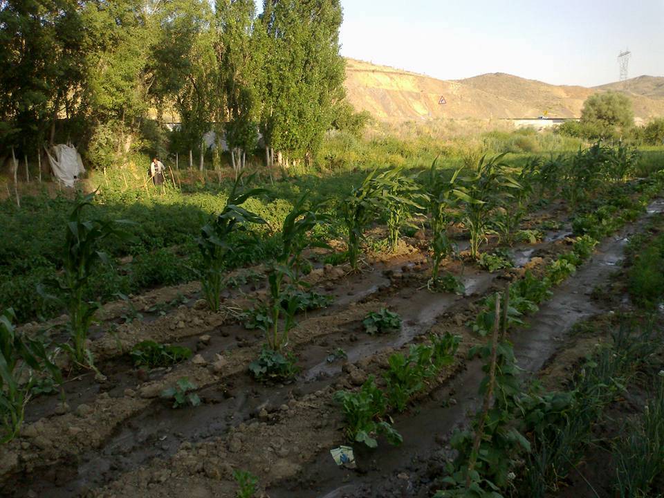 Yozgat Başıbüyüklü Köyü Resimleri 6