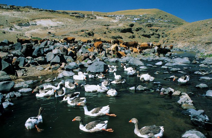 Ardahan Ortageçit Köyü Resimleri 3
