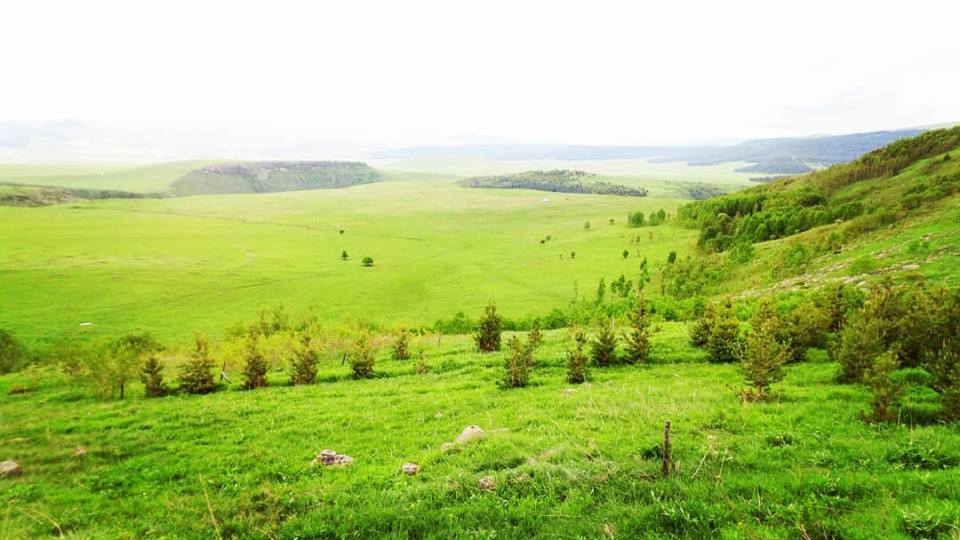 Ardahan Ortageçit Köyü Resimleri 6