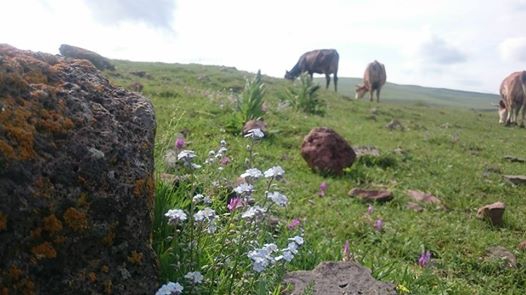 Ardahan Ortageçit Köyü Resimleri 8