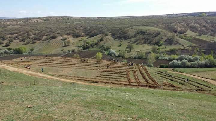 Yozgat Başınayayla Köyü Resimleri 2