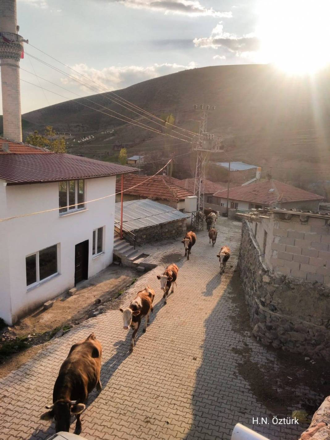 Yozgat Beyvelioğlu Köyü Resimleri 7