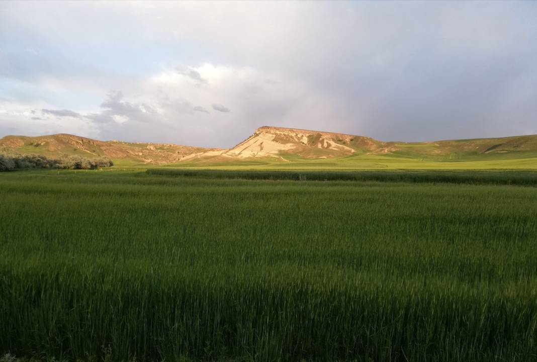 Yozgat Beyvelioğlu Köyü Resimleri 8