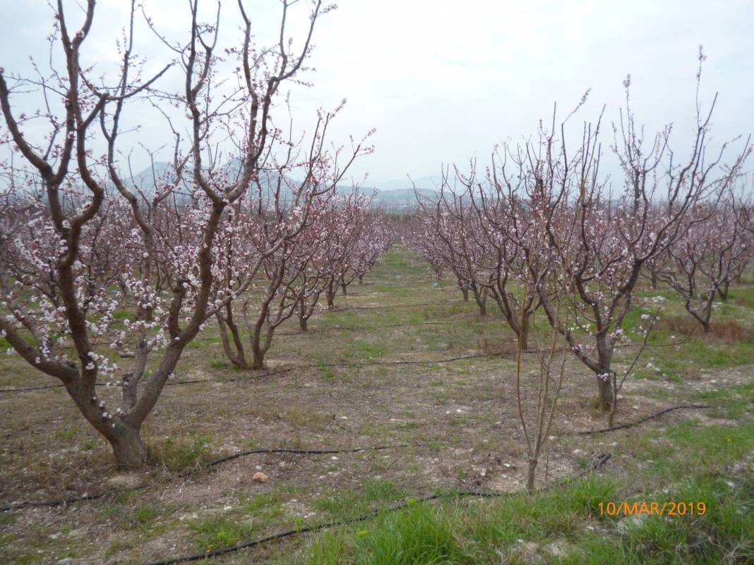Mut Kadıköy Köyü Resimleri 3