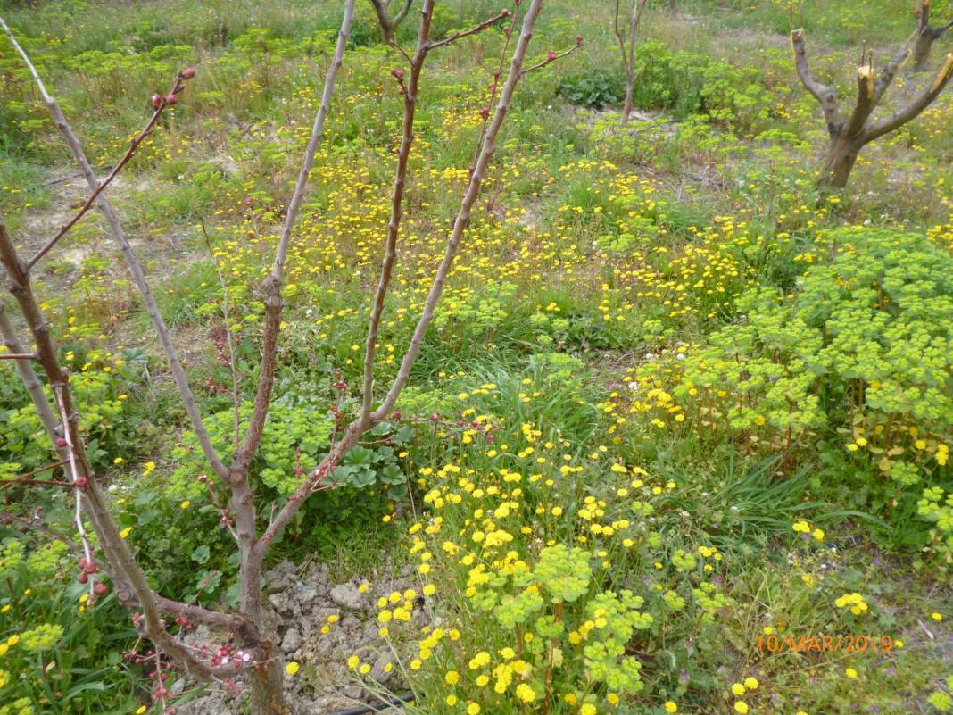 Mut Kadıköy Köyü Resimleri 4