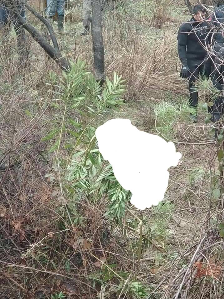 Mut Kadıköy Köyü Resimleri 8