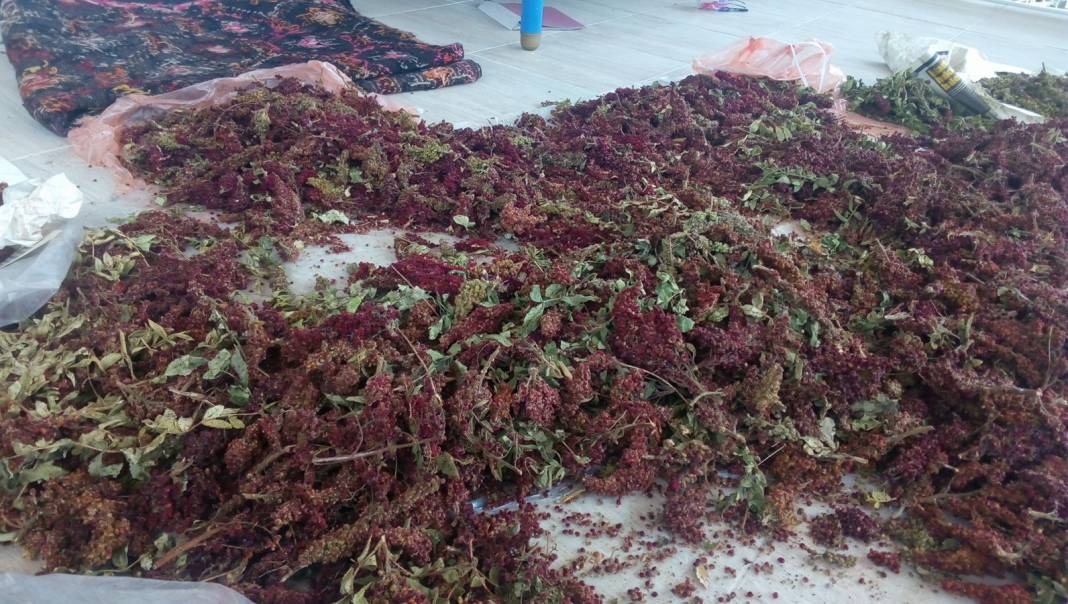 Mut Karacaoğlan Köyü Resimleri 5