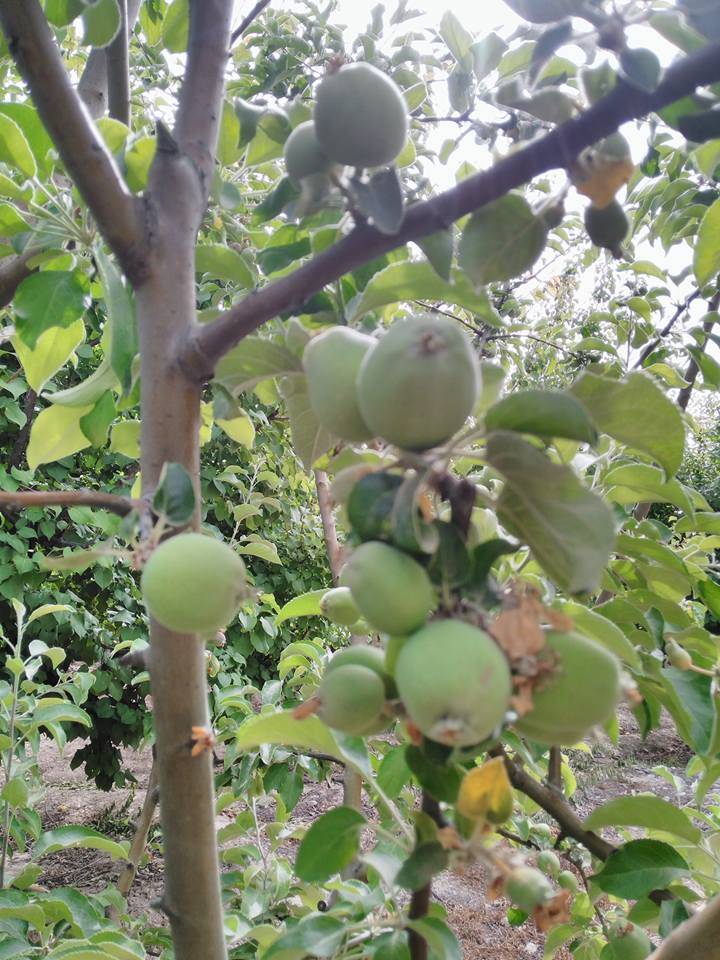 Mut Karadiken Köyü Resimleri 1