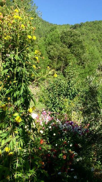 Mut Karşıyaka Köyü Resimleri 2