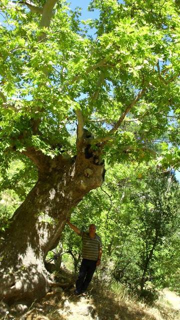 Mut Karşıyaka Köyü Resimleri 4