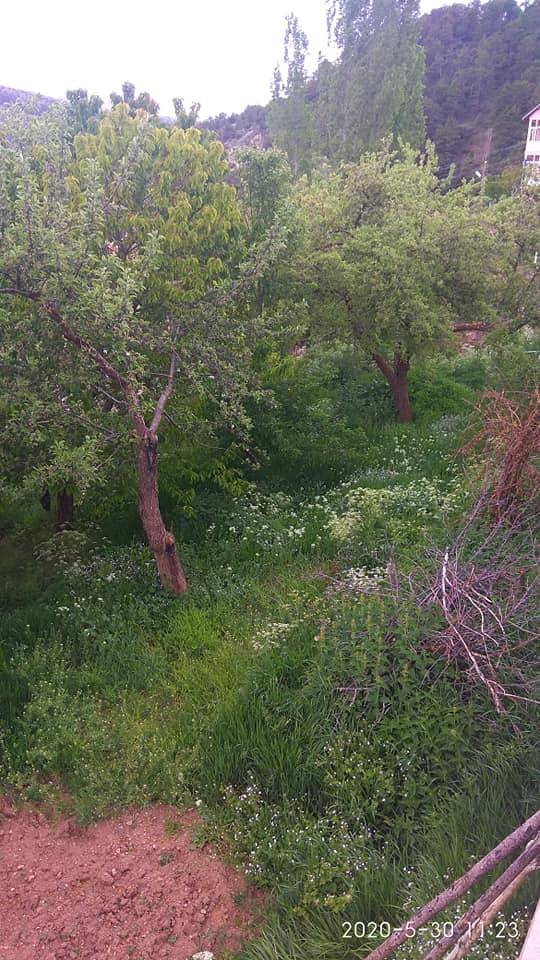 Yozgat Çağlayan Köyü Resimleri 9