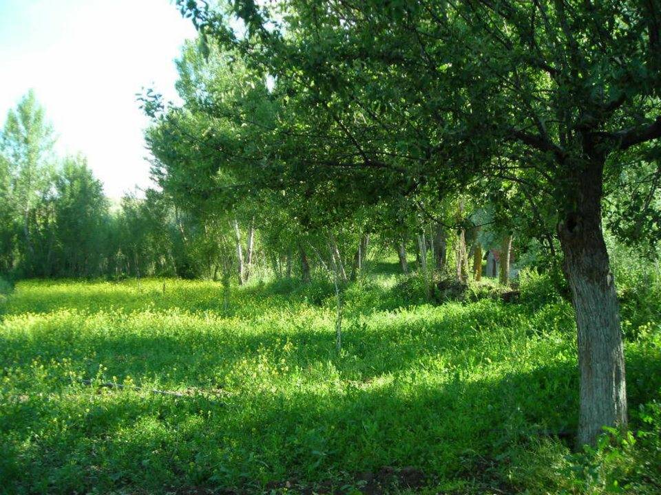 Yozgat Çalatlı Köyü Resimleri 1